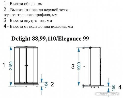 Душевая кабина Domani-Spa Delight 110 100x100 (прозрачное стекло/черный)