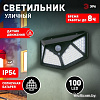 Фасадный светильник ЭРА ERAFS100-04