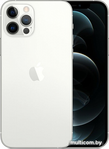 Смартфон Apple iPhone 12 Pro 512GB (серебристый)