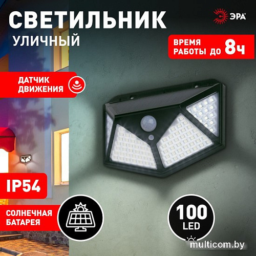 Фасадный светильник ЭРА ERAFS100-04