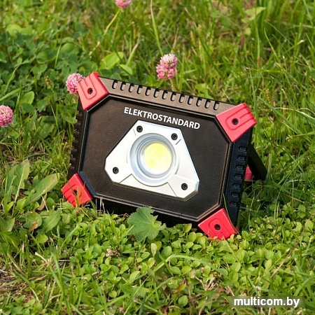 Фонарь Elektrostandard Albion FL120