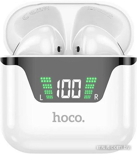 Наушники Hoco DES20