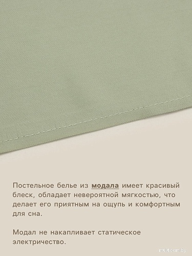 Постельное белье Sima-Land Modal 10518611 (оливковый)