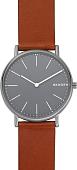 Наручные часы Skagen SKW6429