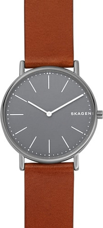 Наручные часы Skagen SKW6429