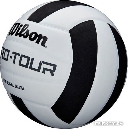 Волейбольный мяч Wilson Pro Tour Vb WTH20119X (5 размер, белый/черный)