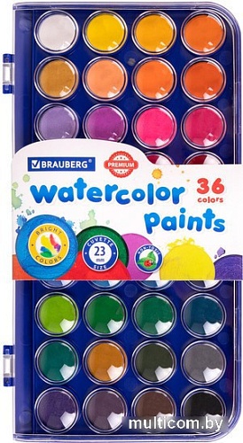 Акварельные краски BRAUBERG Premium 191746 (36 цв)