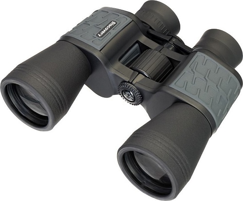 Бинокль Levenhuk Discovery Flint 10x50 79583