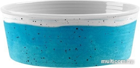 Миска TarHong Desert Wash PDR5067PBWT (белый/голубой)