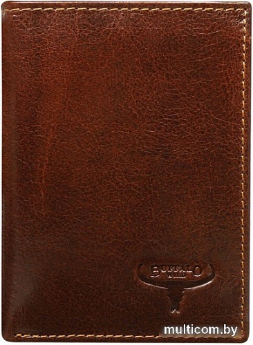 Портмоне Cedar Buffalo Wild N890-VTU (черный)