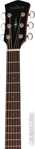 Акустическая гитара Parkwood S23-GT