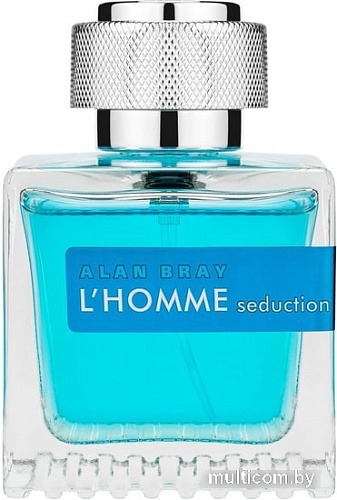 Alan Bray L'Homme Seduction for Men EdT (100 мл)