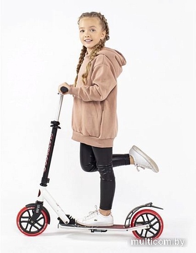 Двухколесный подростковый самокат Maxiscoo LX-205 MSC-LX205-R (красный)