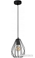 Подвесная люстра TK Lighting TKP2256