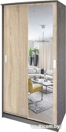 Шкаф-купе Кортекс-мебель Лагуна ШК03-01 (береза/дуб сонома)