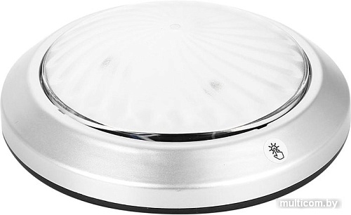 Фонарь ЭРА SB-605