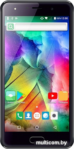 Смартфон TeXet TM-5570 (черный)