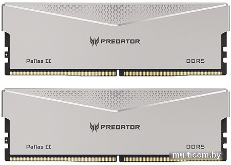 Оперативная память Acer Predator Pallas II 2x16ГБ DDR5 6400 МГц BL.9BWWR.375