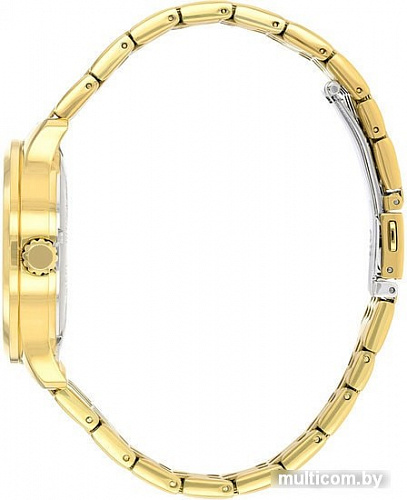 Наручные часы CITIZEN NH8352-53P