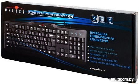 Клавиатура Oklick 170 M Standard Keyboard USB [866464]