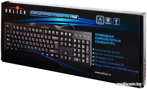 Клавиатура Oklick 170 M Standard Keyboard USB [866464]