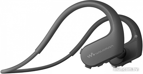 MP3 плеер Sony Walkman NW-WS623 4GB (черный)