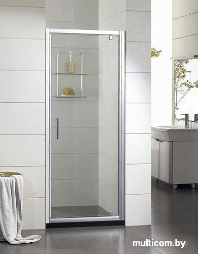 Душевая дверь Bravat Drop 90 BD090.4111A