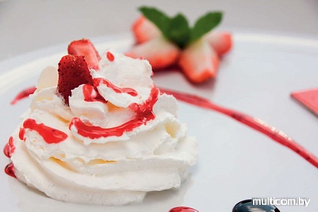 Погружной блендер Philips HR2645/70