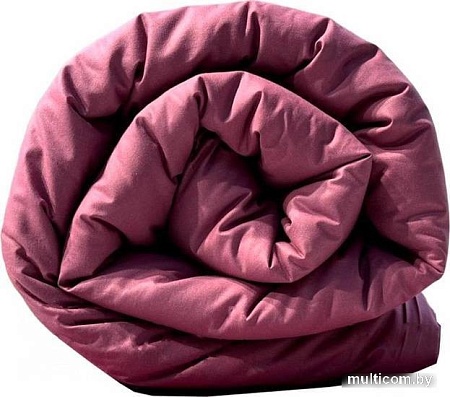 Постельное белье Царство сновидений Брусника 150-0015 (215x153)