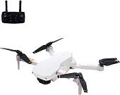 Квадрокоптер Автоград SkyDrone 7148999 (белый)