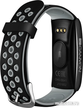Фитнес-браслет Canyon CNS-SB41BR