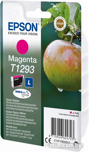 Картридж Epson C13T12934012