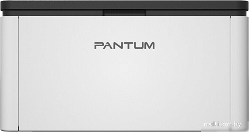 Принтер Pantum BP1800W