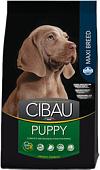 Корм для собак Cibau Puppy Maxi 12 кг