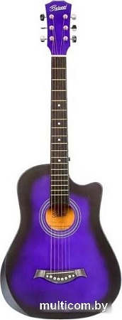 Акустическая гитара Belucci BC-C38 Purple