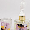 Аромадиффузор Arya White Tea &amp; Ginger 8680943103567