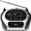 Портативная аудиосистема Ritmix RBB-010