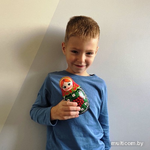 Развивающая игра Брестская Матрешка C ветвями рябины и ромашками (набор 7 шт)