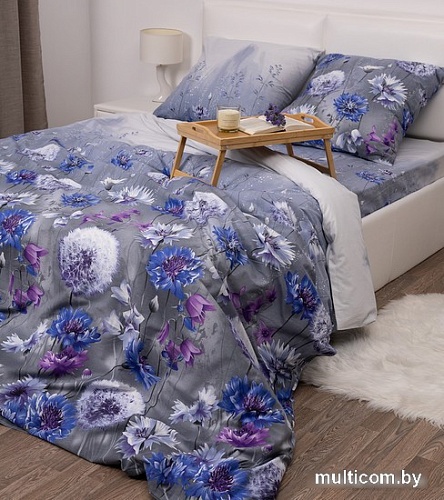 Постельное белье Миланика Раздолье 2сп (поплин)
