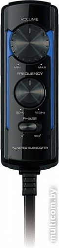 Корпусной активный сабвуфер Kenwood KSC-PSW8