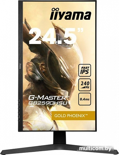 Монитор Iiyama G-Master GB2590HSU-B1