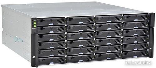 Сетевой накопитель Infortrend EonStor DS2024R2C000C-8U32