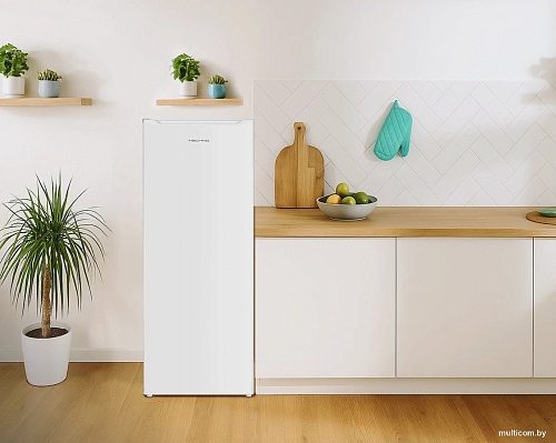 Однокамерный холодильник TECHNO DF1-20N