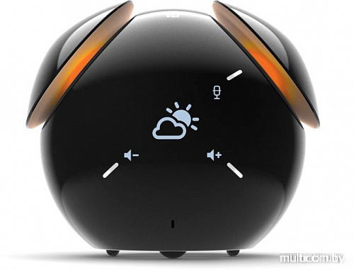 Беспроводная колонка Sony BSP60
