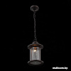 Уличный фонарь ST Luce Lastero SL080.403.01