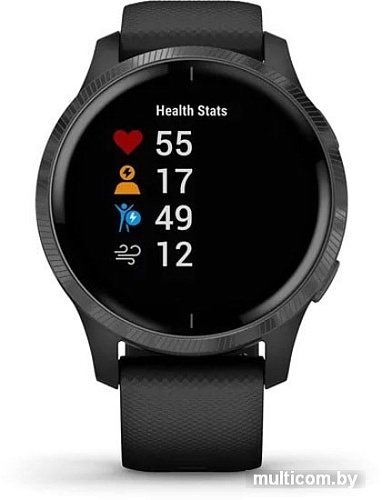 Умные часы Garmin Venu (черный/серый)