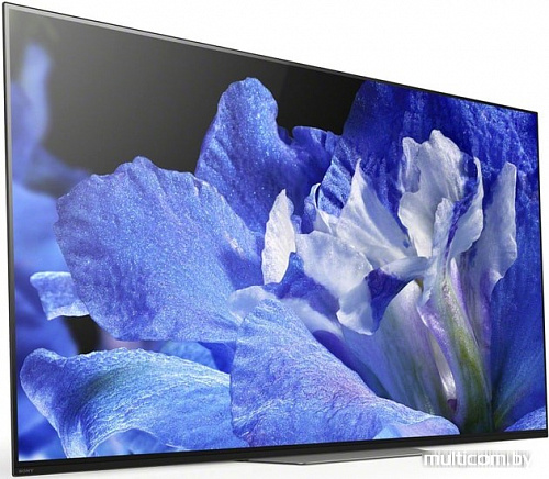 Телевизор Sony KD-65AF8