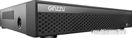 Сетевой видеорегистратор Ginzzu HP-810