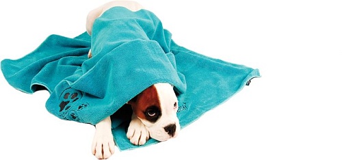 Полотенце Show Tech + Microfibre Towel 33STP002 (бирюзовый)