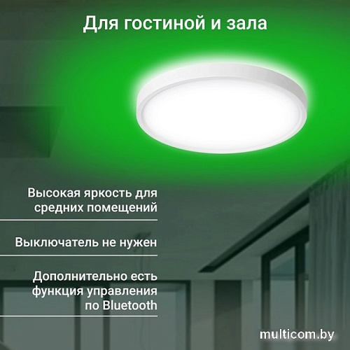Светильник Digma TopLight TL40